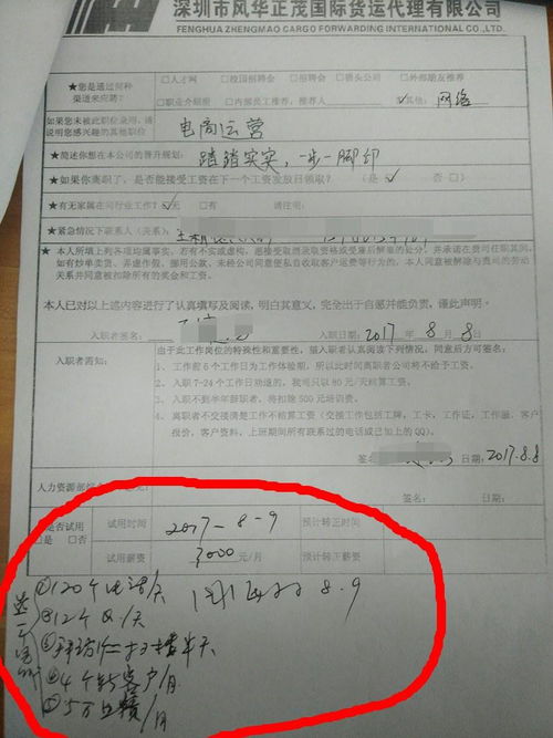 国际货运代理公司 行业洞察与职业前景分析